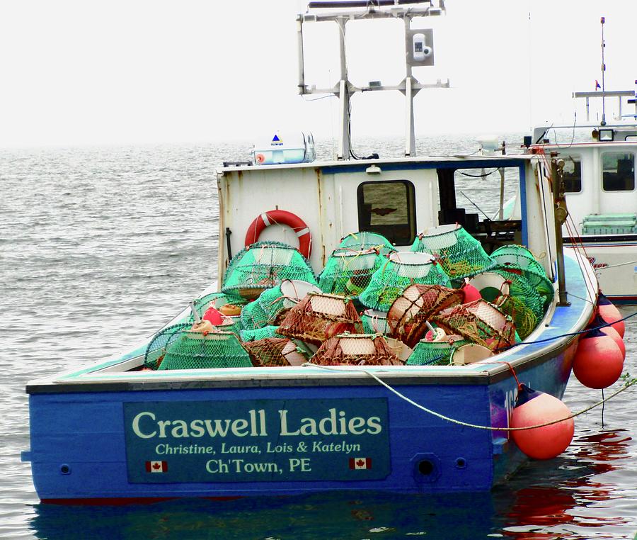 Craswell Ladies Photograph by Stephanie Moore