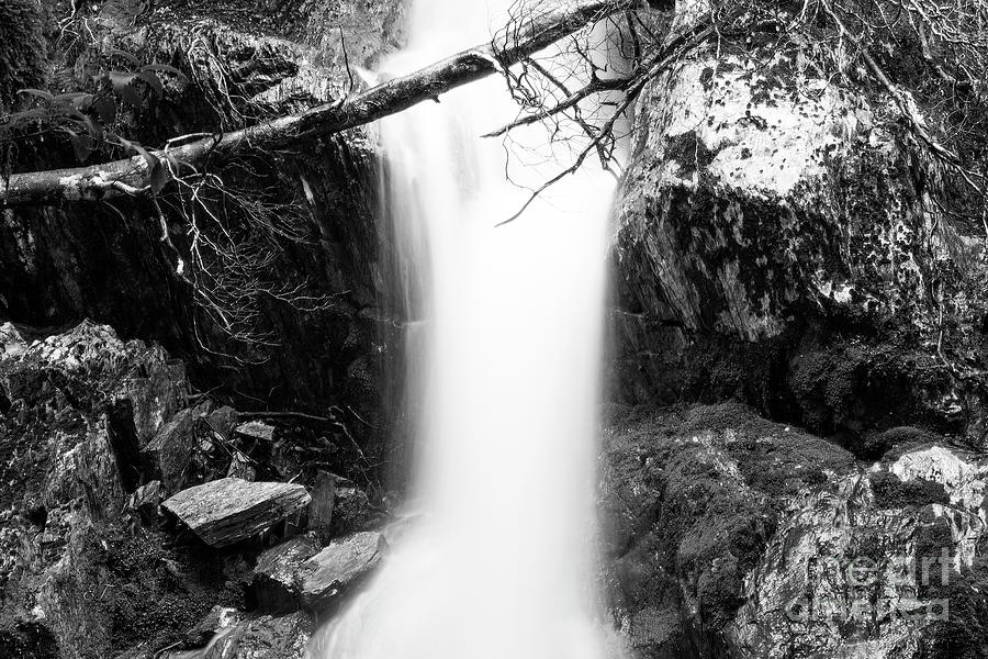 Crater Falls, Cradle Mountain National Park, Tasmania, Australia 2 Photograph by Elaine Teague