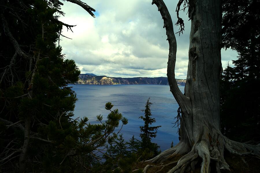 Crater Lake Oregon Photograph by Lawrence Christopher