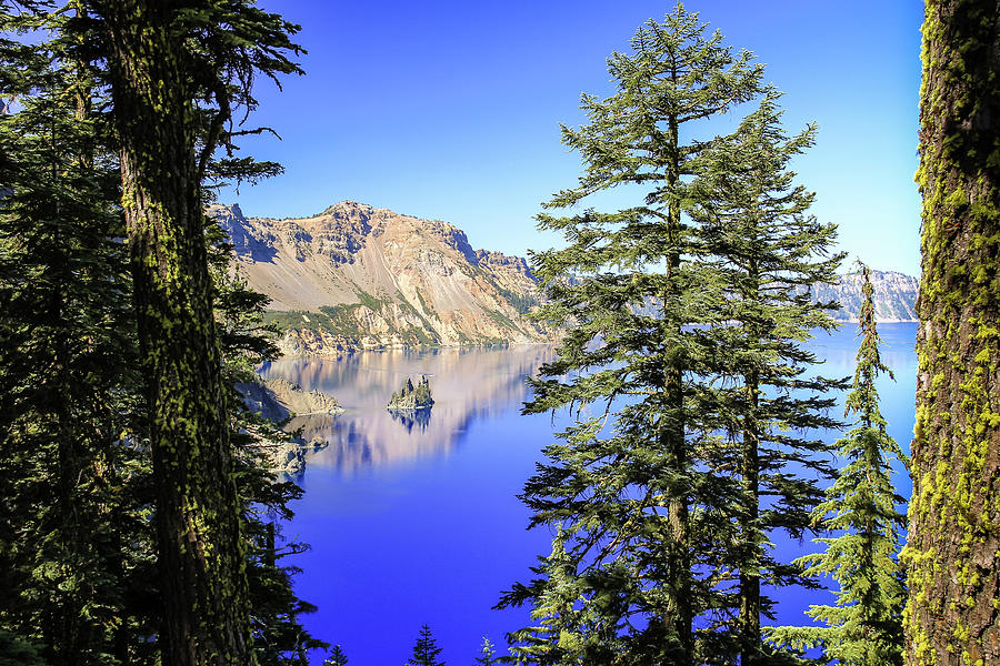 Crater Lake Reflection Photograph by Craig A Walker