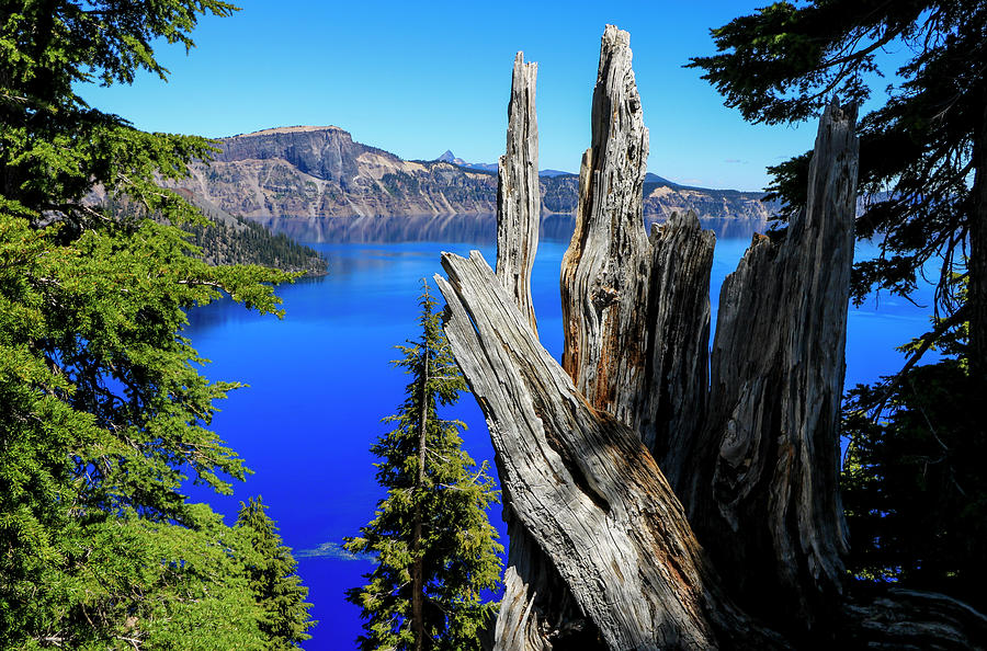 Crater Lake View 5 Photograph by Dawn Richards