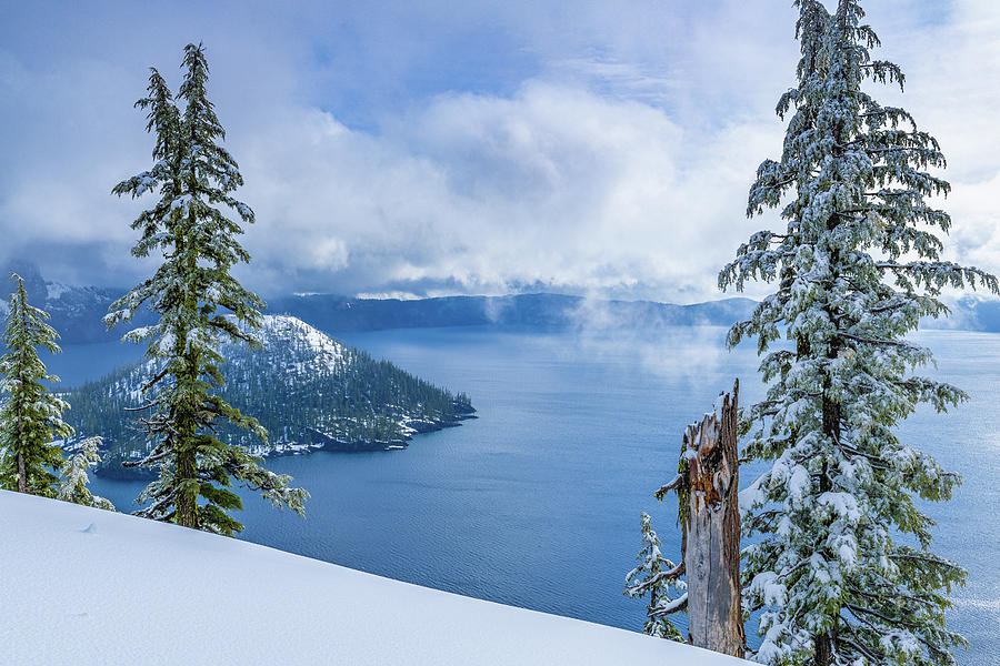 Crater Lake Winter Fog Photograph by Erin K Images