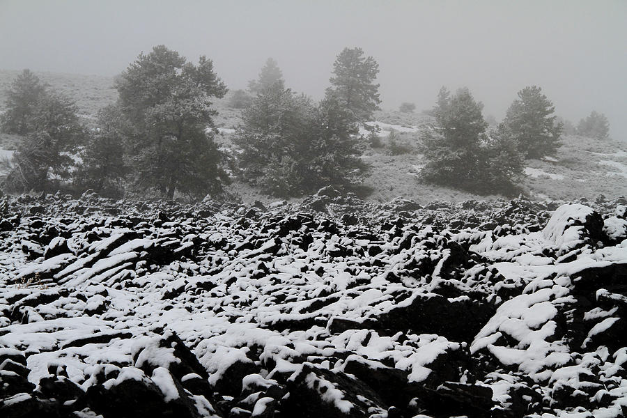 Craters of the Moon Snowscape Photograph by Ed Riche