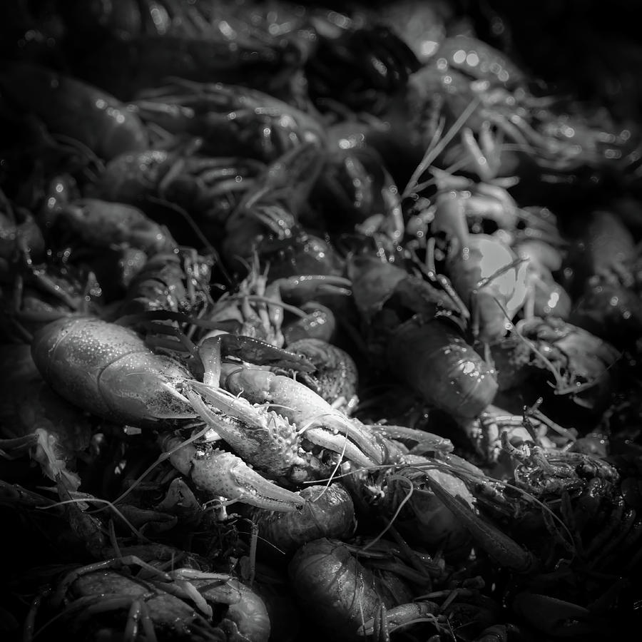 Crawfish Platter Photograph by Bill Chizek