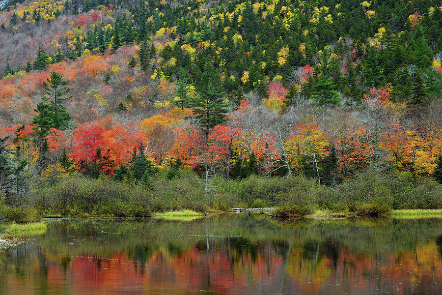 Crawford Notch State Park Willey's Pond 2 Photograph by Dean Hueber ...