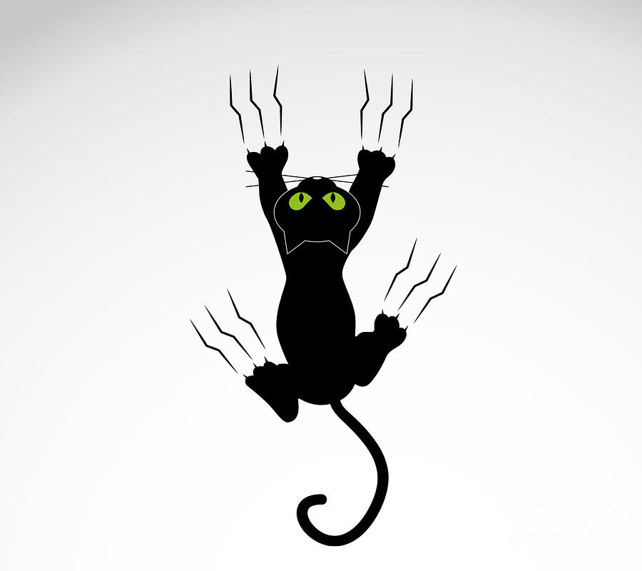 Crawling Black Cat Digital Art by Noirty Designs - Fine Art America