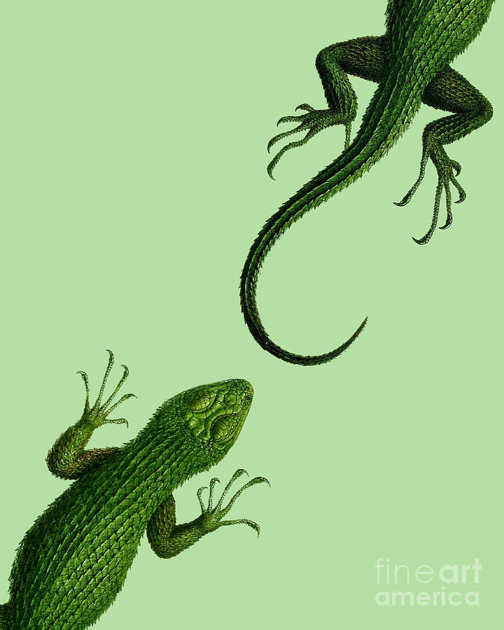 Dragon Digital Art - Crawling Reptiles by Madame Memento