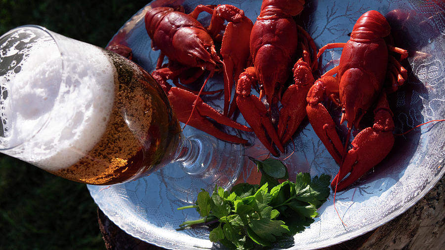 Crayfish With Beer, Summer Food Photograph