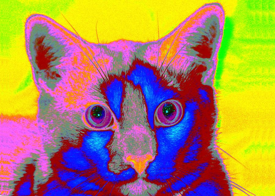 Crayon Cat Digital Art by Larry Beat