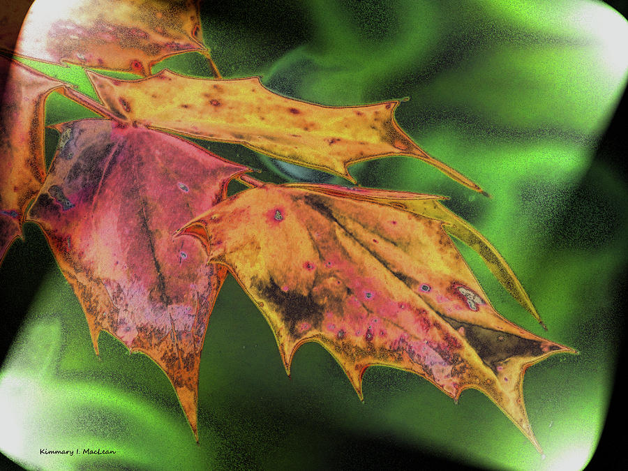 Crayon Leaves Digital Art by Kimmary I MacLean
