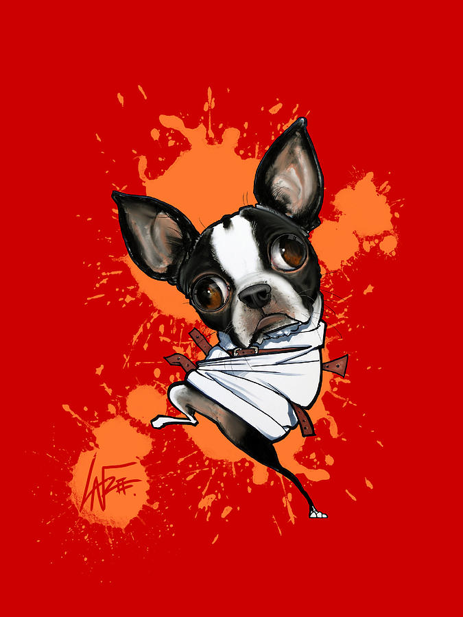 Crazy Boston Terrier Drawing by John LaFree