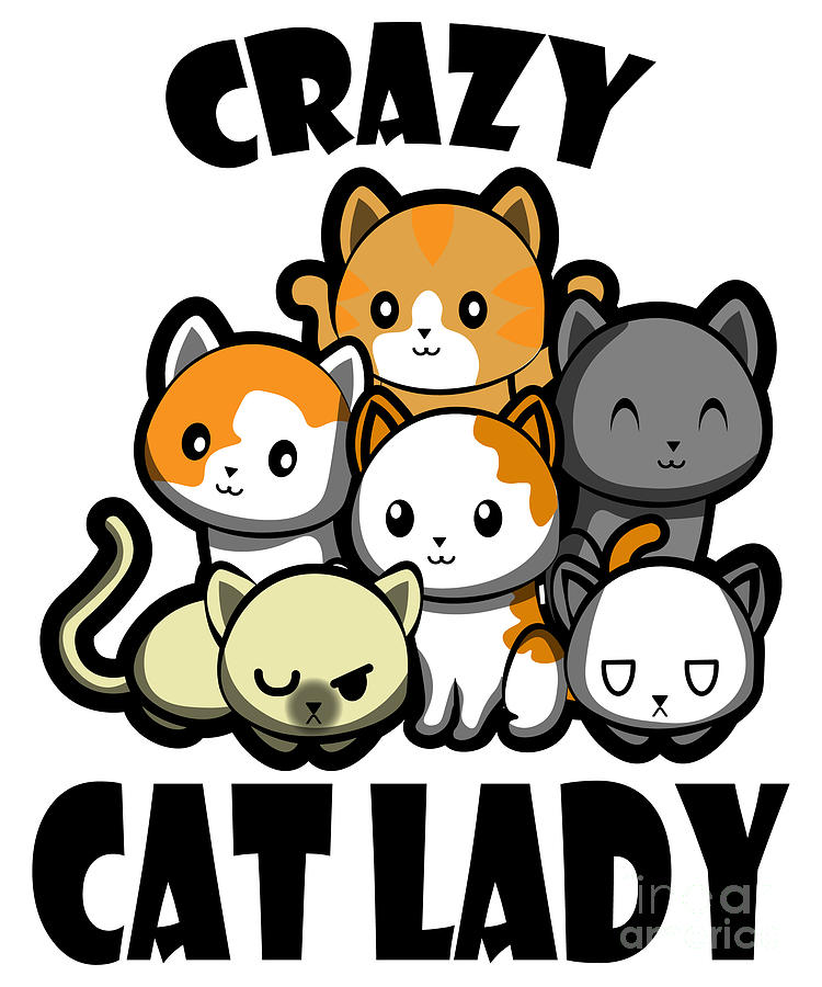 crazy cat lover