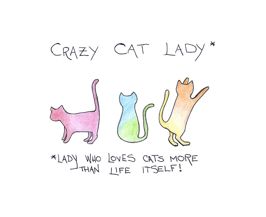 Crazy cat lady Drawing by Sara Thamm Fine Art America