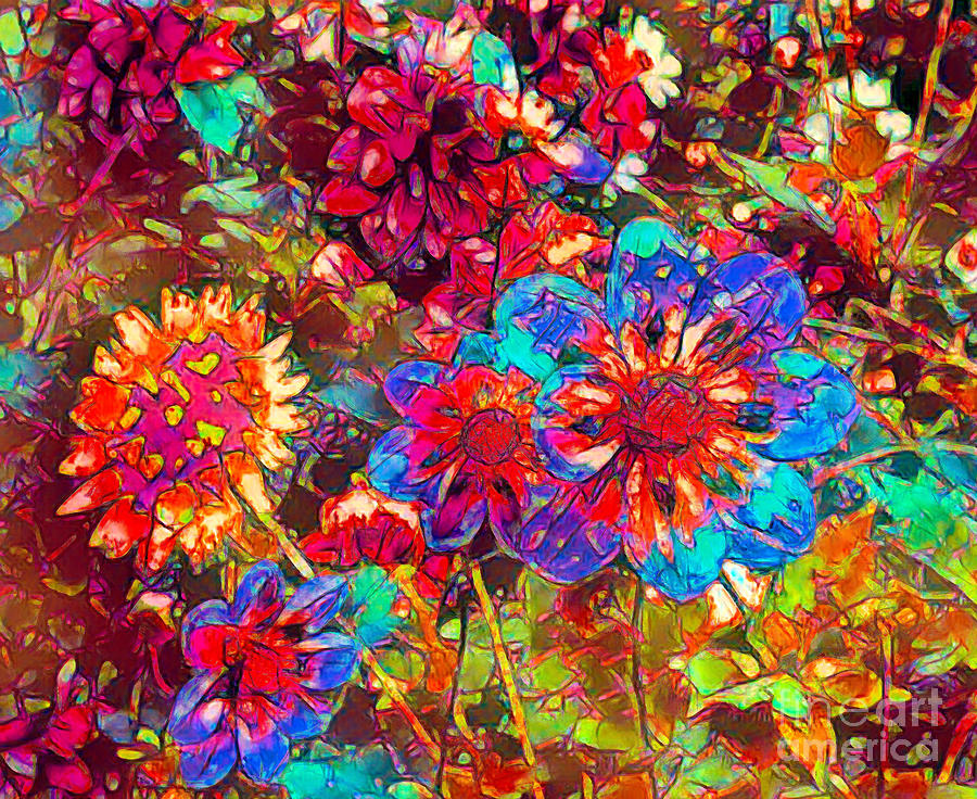 Crazy Colorful Mixed Up Dahlias Photograph by Sea Change Vibes