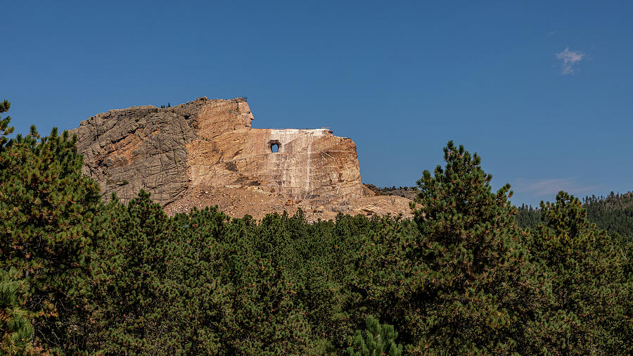 Crazy Horse out in the trees Photograph by Nicholas McCabe