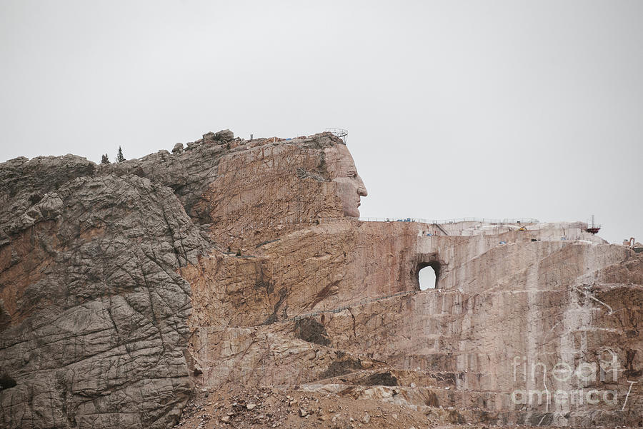 Crazy horse Photograph by Walfred Espitia - Fine Art America