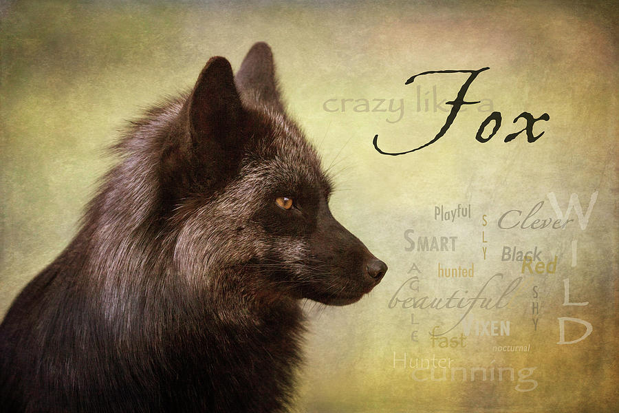 Fox Digital Art - Crazy Like a Fox by Nicole Wilde