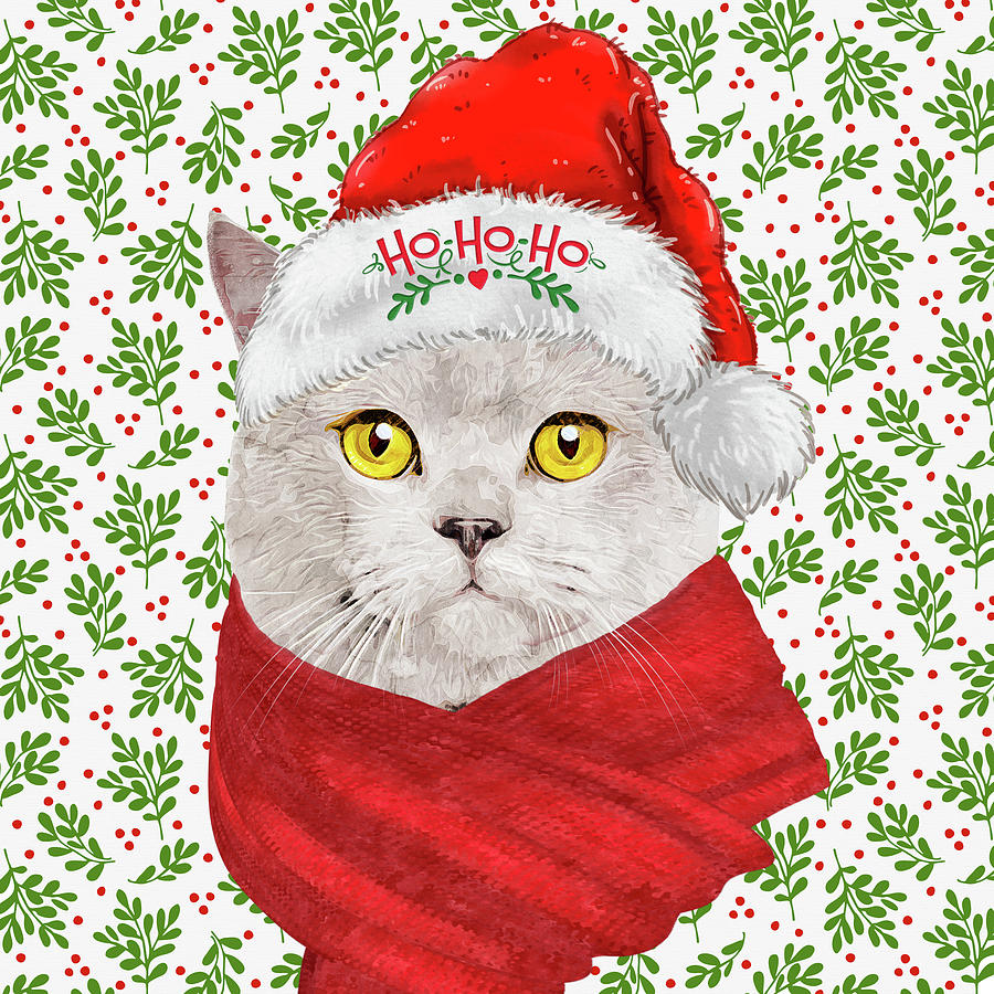 Cream British Shorthair Christmas Cat Digital Art by Doreen Erhardt