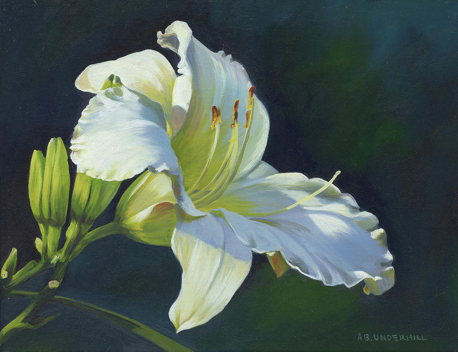 Cream Daylily Painting by Alecia Underhill