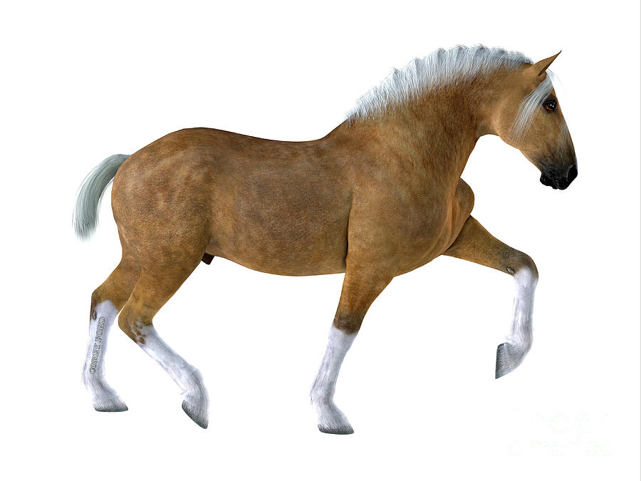 Cream Draft Horse Digital Art