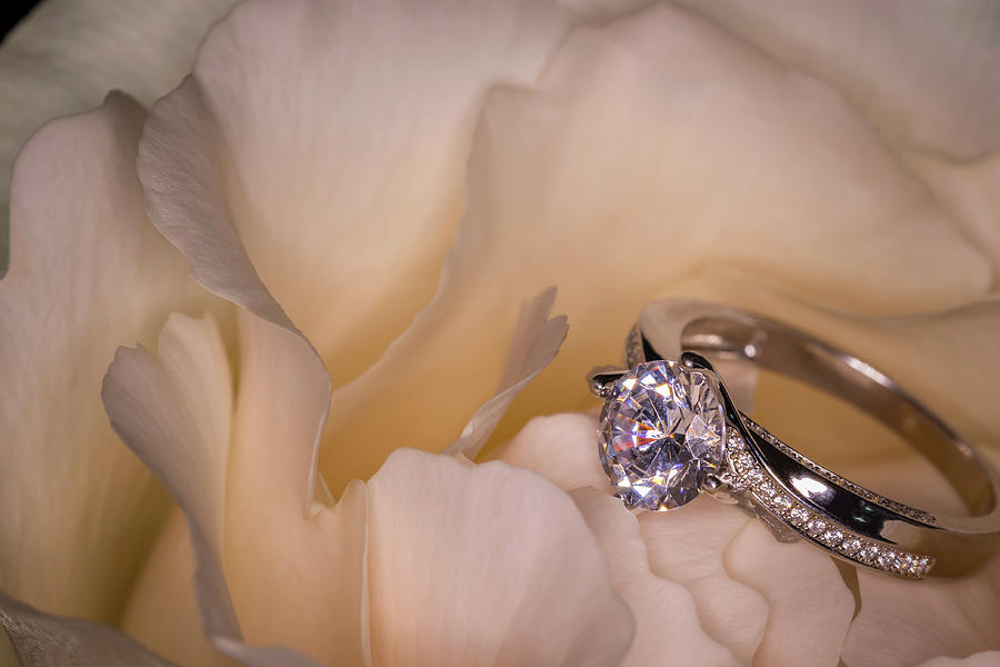 Nature Photograph - Cream Rose with Engagement Ring by Chic Gallery Prints From Karen Szatkowski