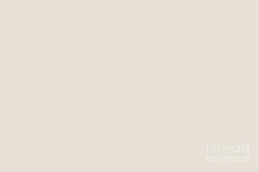 Creamy Off White Solid Color Behr 2021 Color of the Year Accent Shade Smokey Cream N190-1 Digital Art by PIPA Fine Art - Simply Solid