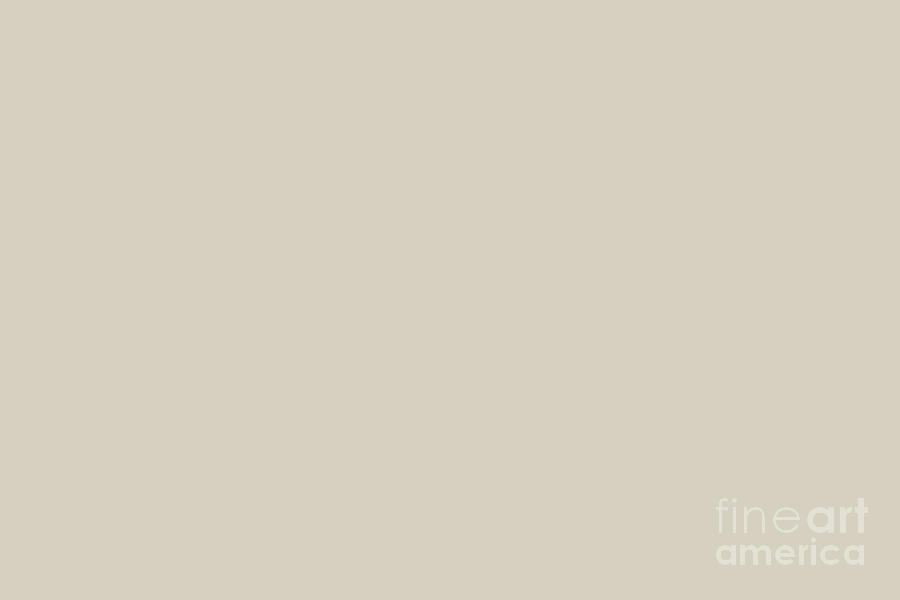 Creamy Off-White Solid Color Pairs Sherwin Williams Grecian Ivory SW 7541 Digital Art by PIPA Fine Art - Simply Solid