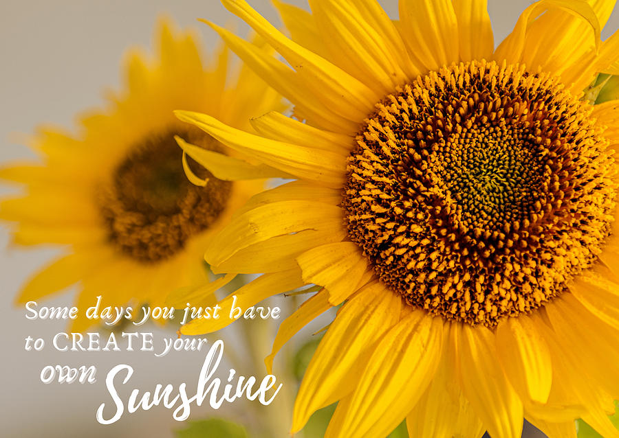 Create your own Sunshine Photograph by Emma Solomon | Fine Art America