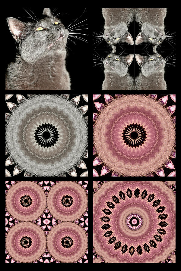 Creating a Kaleidoscope Steps Digital Art by Katherine Nutt