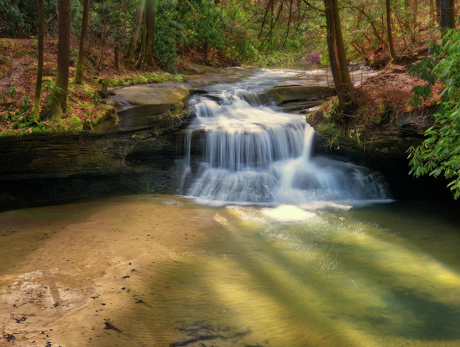 Creation Falls At Red River Gorge Geological Area In Kentucky Photograph