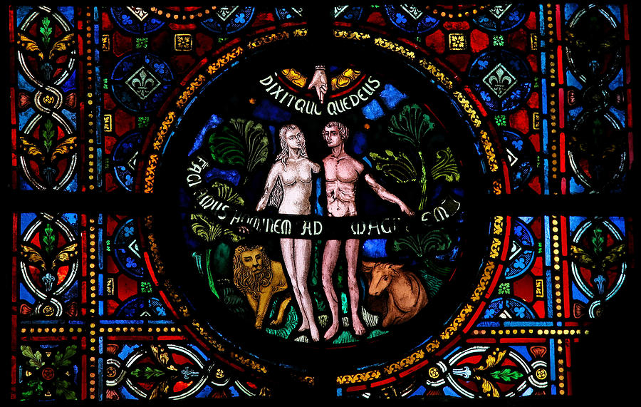 Creation of Adam and Eve Photograph by Jorisvo