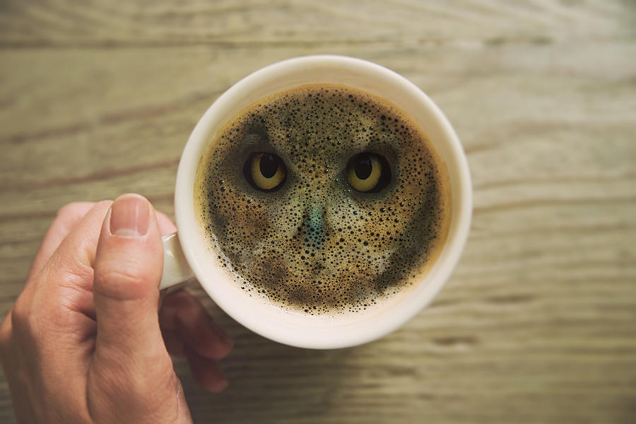 Creative picture of a double exposure view with owl animal merged inside coffee cup surface in the morning taken from personal perspective, mixing wild animal inside coffee. Photograph by Artur Debat