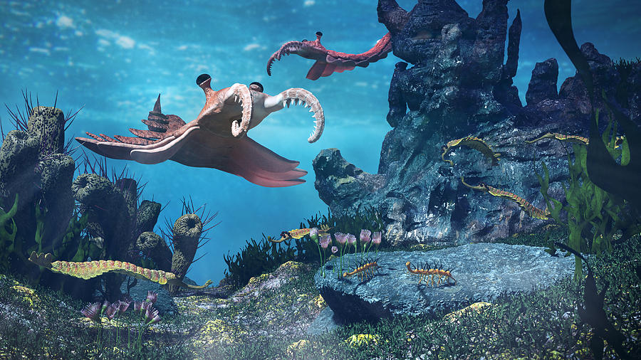 creatures of the Cambrian period, underwater scene with Anomalocaris, Opabinia, Hallucigenia, Pirania and Dinomischus (3d science illustration) Photograph by Dottedhippo