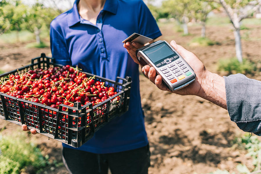 Credit card payment on the farmers market Photograph by Pixelfit