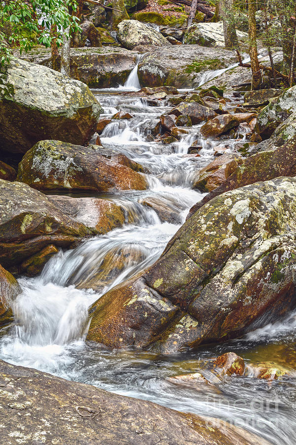 Creek Among Boulders Photograph by Phil Perkins