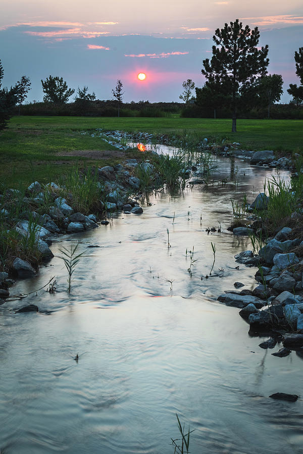 Creek Creek Photograph by Joan Escala-Usarralde