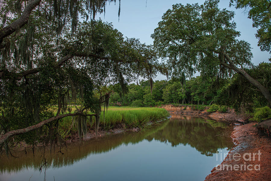 Creek Fishing - Charleston South Carolina Photograph