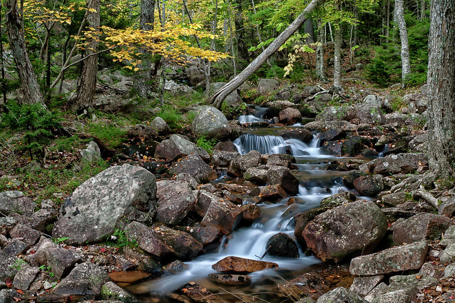 Creek in Maine IMG 6383 Photograph by Greg Kluempers