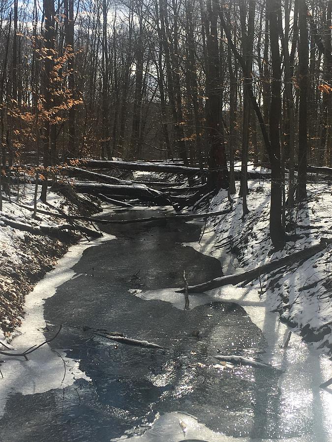 Creek in winter Photograph by Lisa Thorne - Fine Art America