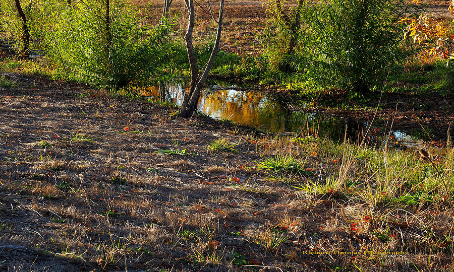Creek Reflecting Autumn Photograph by Richard Thomas