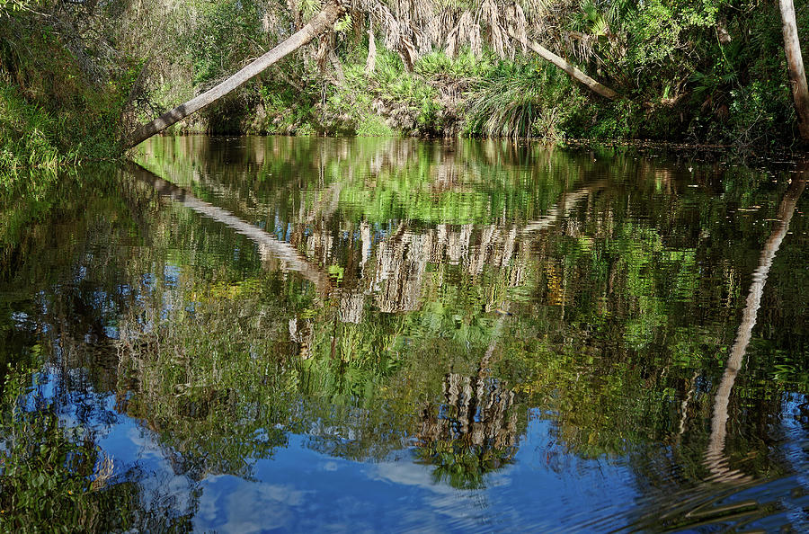 Creek Reflections Photograph by Sally Weigand