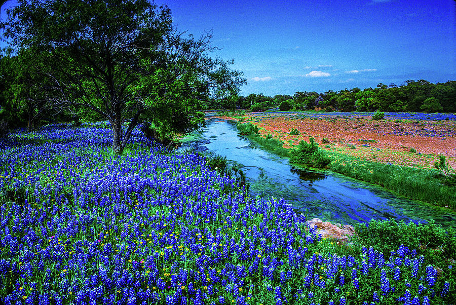 Creek Side View Photograph by Daniel Richards - Fine Art America