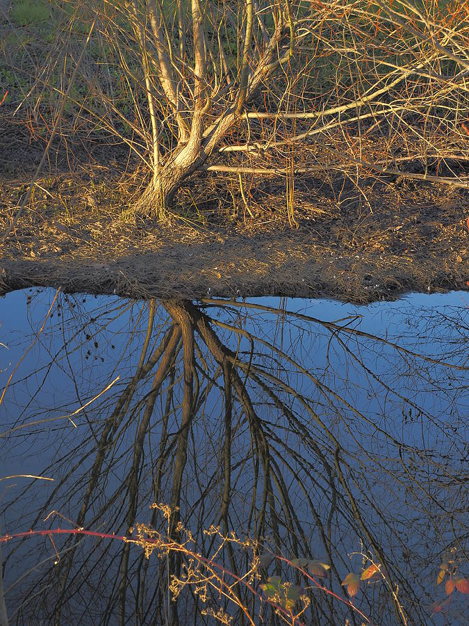 Creeks Reflections 2019 Photograph by Richard Thomas