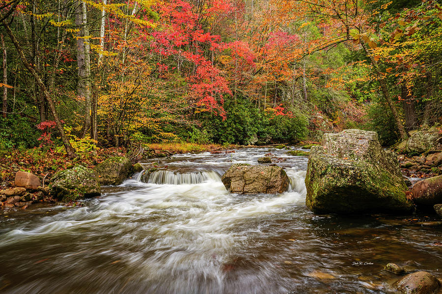 Creekside Autumn Photograph by Dale R Carlson