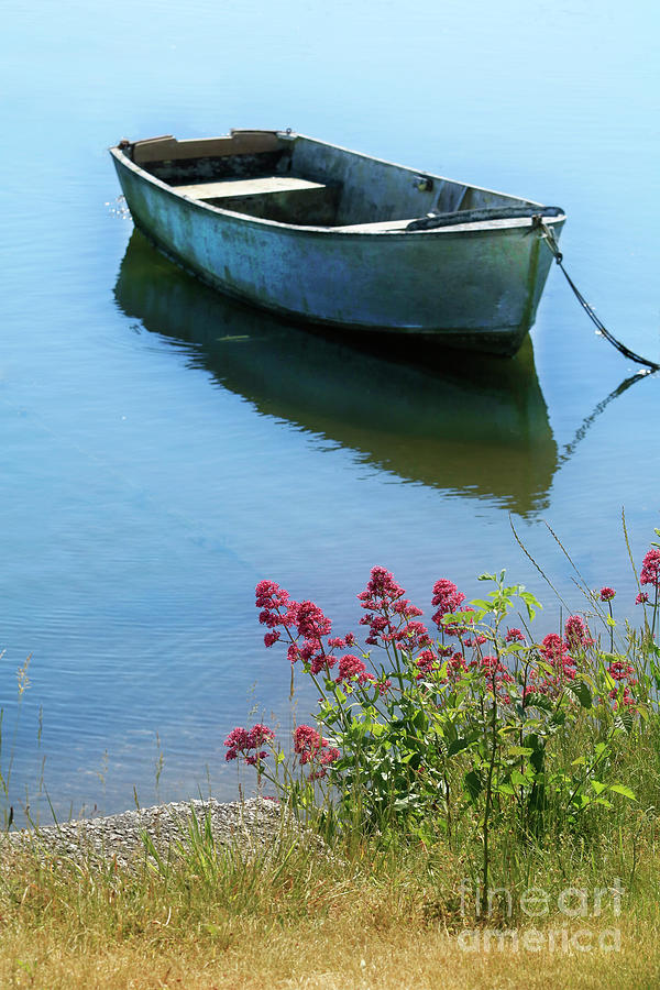 Creekside Flowers and a Boat Photograph by Terri Waters