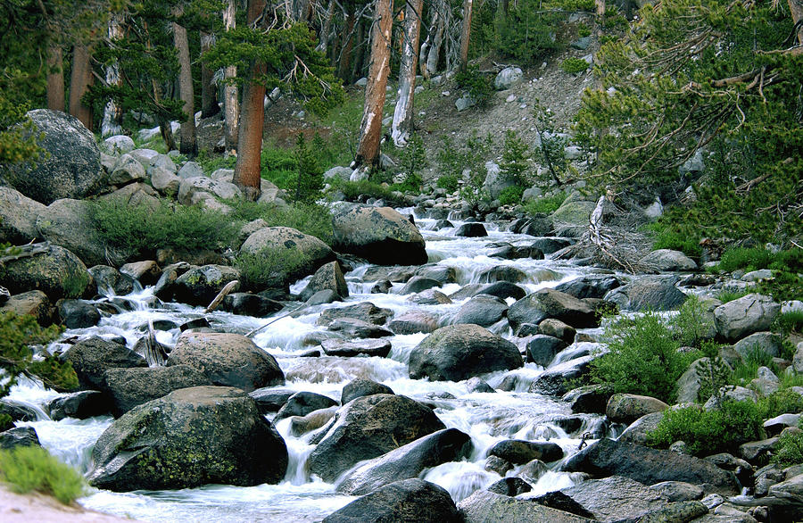 Rushing Waters - Slippery Moss Covered River Rocks - Merced River -Yosemite Photograph by Bonnie Colgan