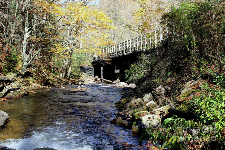 Creeper Bridge over Laurel Creek Photograph by Robert M Seel - Fine Art ...