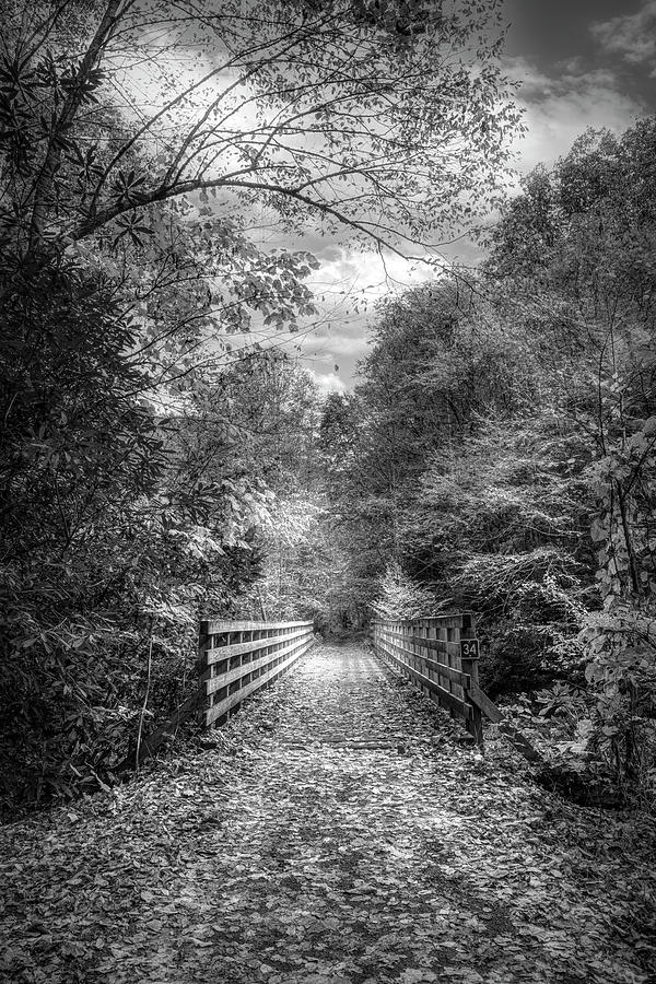 Creeper Trail Wooden Bridge Damascus Virginia Black and White Photograph by Debra and Dave Vanderlaan