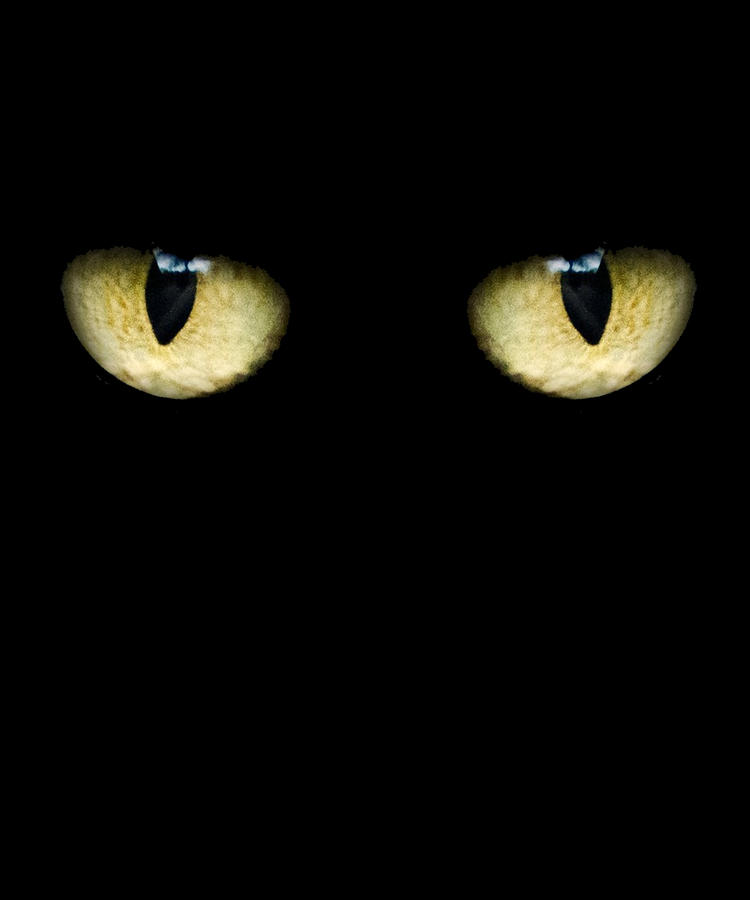Creepy Cat Eyes Digital Art by Flippin Sweet Gear
