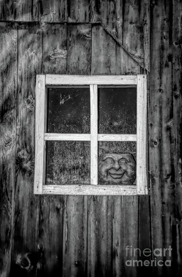 Creepy Face In The Window Photograph by Karen Silvestri